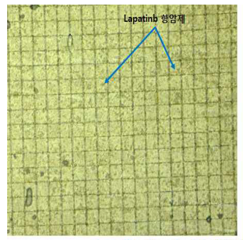 3층의 PCL 폴리머 필름에 항암제(Lapatinib)가 장전된 x-ray synchrotron 노광 결과