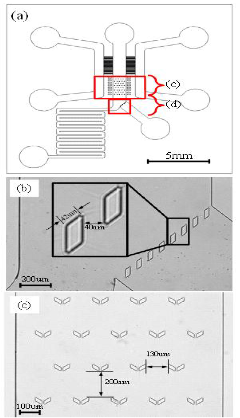 (a) Microfluidic platform의 전체 디자인과 주요 부분, (b) 방어벽, (c) trapper 배열
