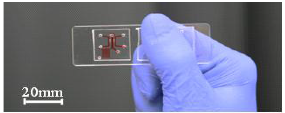 다면체형 약물 전달 시스템에 선택적인 Salmonella 흡착을 위한 microfluidic platform 제작 결과