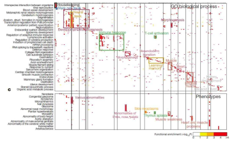 조직 특이적인 후성유전학적 조절모듈의 발견 및 질병과의 연관성 (Roadmap Epigenomics Consortium, Nature, 2015)