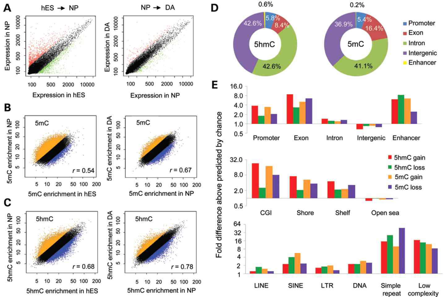 분화 과정에서 일어나는 Genome-wide DNA 메틸화 및 하이드록시메틸화 변화