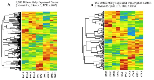 T세포 분화과정에서 Transcriptome 분석. DEG 분석