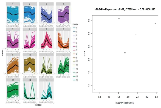 쥐의 림프구/호중구 분화 및 분기과정에서의 전사체 데이터를 이용해서 transcriptomic profile based clustering을 수행하여 유전자군 분리