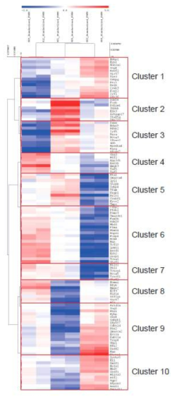 위 유전자들의 clustering 분석