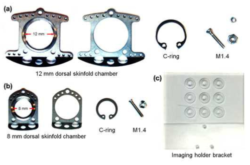 피하암 모델 영상화를 위한 영상챔버 구성 및 이미징 홀더