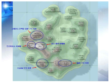 단백질 결정 구조와 NMR 구조 기반한 신약 개발 관련 특허맵 분석