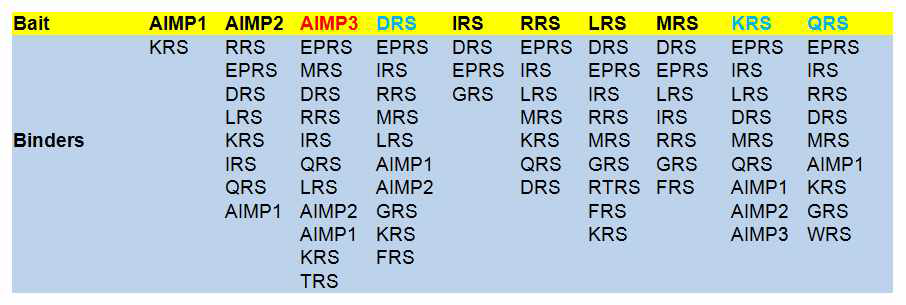 Strep-tagged AIMP3를 이용한 Interactome 분석