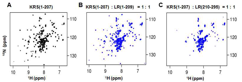 (A) LysRS(1-207)의 1H-15N TROSY spectra. (B) LysRS(1-207)에 LR(1-209)첨가 후 LysRS(1-207)의 1H-15N TROSY spectra. (C)LysRS(1-207)에 LR(210-295) 첨가 후 LysRS(1-207)의 1H-15N TROSY spectra