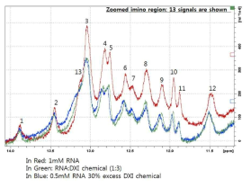 Chemical binding study with NMR