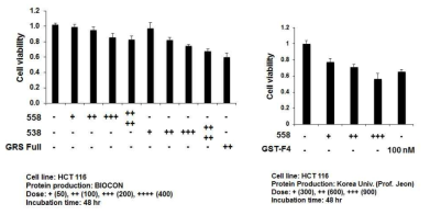 solubility가 개선된 GlyRS558-685 및 GlyRS538-685 fragments의 암세포 억제능 비교