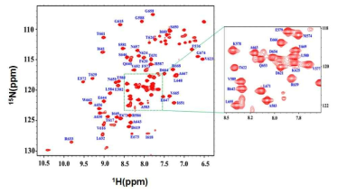 Assignment of NMR signals from the backbone amide groups of GlyRS anticodon binding domain (residues 558-674)