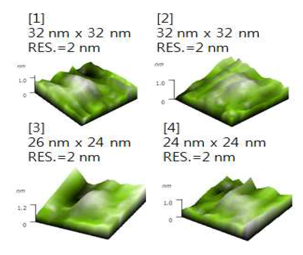 Structural analysis of LysRS associated exosome using atomic force microscopy