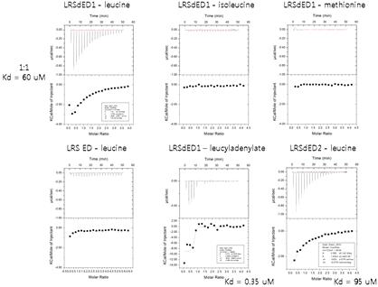 Isothermal titration calorimetry of LRS and amino acids