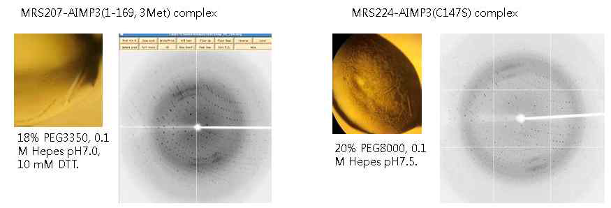 MRS-AIMP3 complex 결정체와 x-선 회절