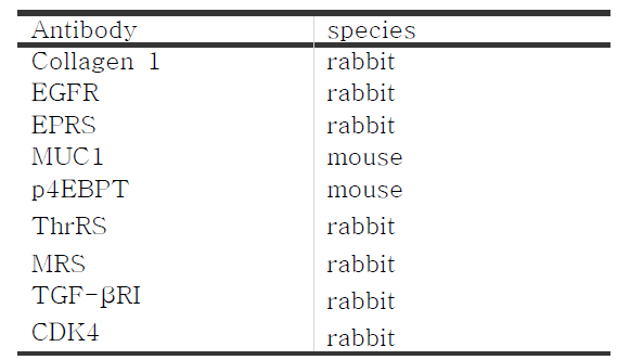 대장암에서 ARS의 발현과 임상적 의미를 확인하기 위해 사용된 항체들