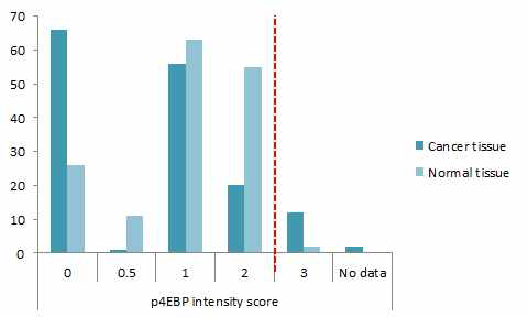 p4EBP intensity score