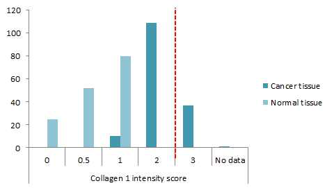 Collagen1 intensity score