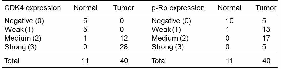 정상 췌장조직과 췌장암 환자 조직에서 CDK4 및 p-Rb 의 staining scoring