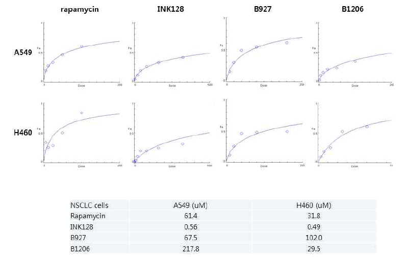 비소세포 폐암에서 MTT 방법으로 확인한 LRS targeting molecule 인 B927 과 B1206 의 IC50