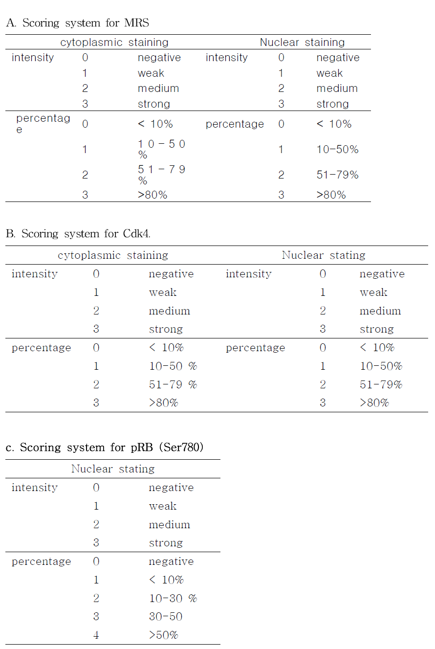비소세포 폐암에서 MRS, Cdk4, pRB 및 p16 의 발현을 확인하기 위해 사용된 scorning system 들