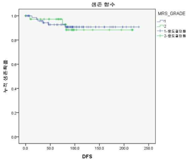 MRS의 세포질내 발현이 무병생존기간에 미치는 영향