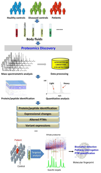 췌장암에서 체액을 이용한 Proteomics 발견 단계