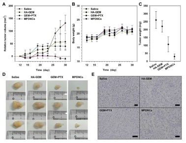 Xenograft모델에서 Multi-prodrug nanocarriers(MPDNC)의 항암효과가 각 항암제 단독에 비해 효과가 우수함을 보임