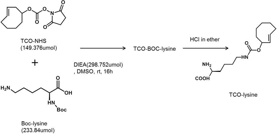 TCO-lysine 유기합성 과정