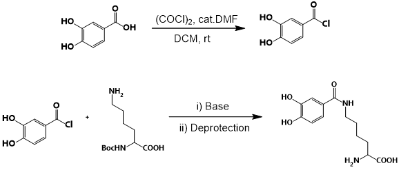 general scheme for synthesis of benzoyl-lysine derivatives