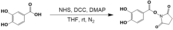 NHS activation of 3,4-dihydroxybenzoic acid