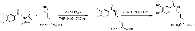 amide coupling of 3,4-dihydroxybenzoyl-NHS and Boc-lysine