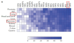 A heat map for the association of the individual ARSs and AIMPs with ten types of cancer (Nat. Rev. Cancer, 2011, 11: 708-718)