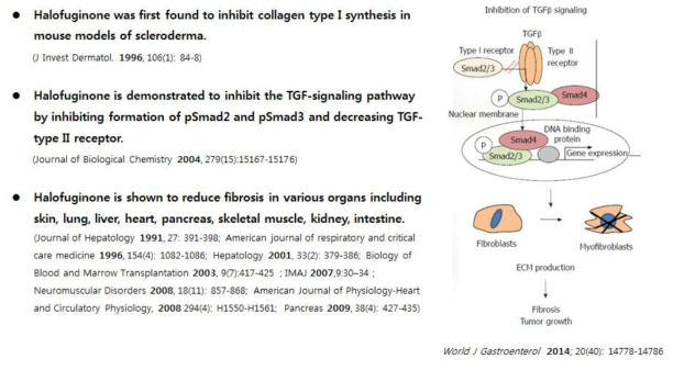 Halofuginone mode of action (World J Gastroenterol, 2014, 28; 20(40): 14778-14786)