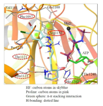 PRS-Halofuginone complex X-ray crystallography