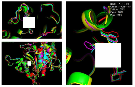 PRS-DW compound complex X-ray crystallography