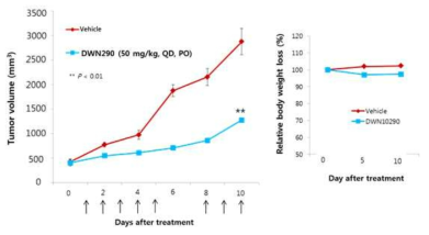 In vivo antitumor activity of DWN10290 in a mouse xenograft model implanted with lung tumor cells(NCI-H460)