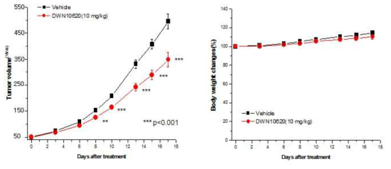 In vivo antitumor activity of DWN10620 in a mouse xenograft model implanted with pancreatic tumor cells(Capan-2)