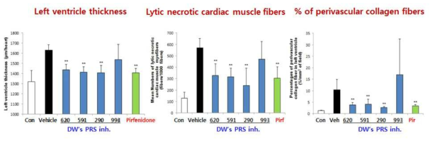 DWN10290, DWN10591, and DWN10620 showed 20 times more potent anti-fibrotic effect than pirfenidone, a FDA approved anti-fibrosis agent. Male C57BL/6J mice were treated with DW compounds (10 mg/kg/day, oral, once a day) and pirfenidone (200 mg/kg/day, oral, once a day) for 2 weeks. Data are presented as mean±SEM. ** p<0.01 and * p<0.05 vs Vehicle. Con, control(non-TAC induced mice); Veh, Vehicle(5% DMSO: 40% PEG400: 55% DW)