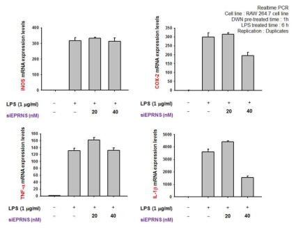 Effect of siEPRS on the mRNA levels of pro-inflammatory genes. The mRNA levels were determined by real-time PCR from siEPRS pretreated RAW264.7 cells stimulated with LPS (1 mg/ml) for 6 h