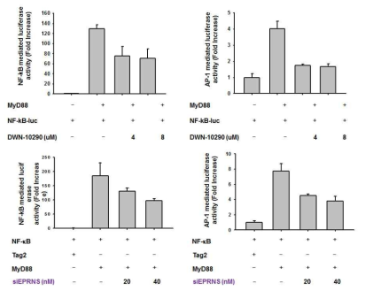 Effect of DWN10290 and siEPRS on the transcriptional activation of pro-inflammatory genes. HEK293 cells co-transfected with plasmid constructs NF-kB-Luc or AP-1-Luc and MyD88 (each 1 mg/ml) as well as b-gal (as a transfection control) were treated with DWN10290 and siEPRS. Luciferase activity was measured by a luminometer