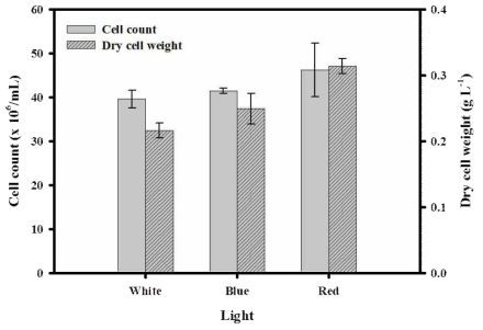 Biomass of N. gaditana from turbidostat cultivation at steady state under each light illumination