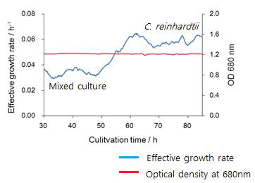 Specific growth rate of mixed culture of three species