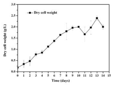 Biomass production of T. suecica at the fermenter