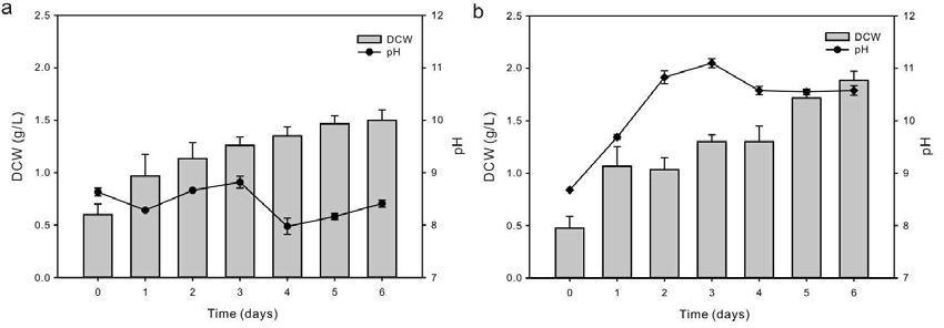 C. protothecoides 의 배양그래프 a) BG11 and b) ABWW