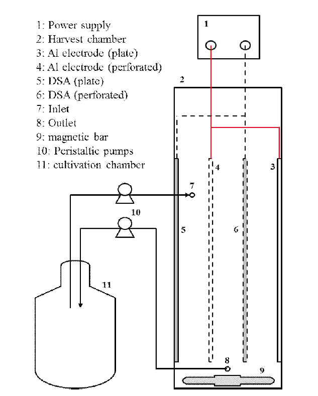 Schematic diagram of the continuous microalgae harvest system