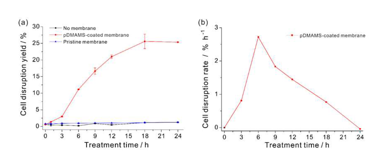 (a) pDMAMS로 코팅한 멤브레인과 일반 나일론 천(Pristine)으로 24시간 동안 접촉시킨 미세조류 배양액, 그리고 멤브레인 없이 교반만 한 배양액(No membrane)의 direct hexane extraction 수율 (b) pDMAMS로 코팅한 멤브레인과 접촉한 샘플의 시간당 파쇄량
