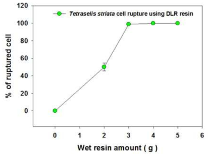 수지의 양에 따른 Tetraselmis striata의 세포벽 파괴정도