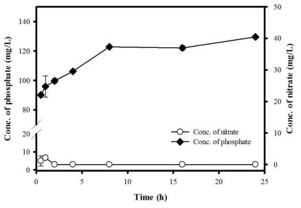 추출시간에 따라 변화하는 추출물 내의 nitrate와 phosphate 양의 변화