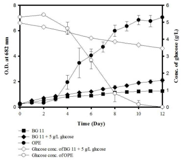 배양 시간에 따른 각 배지에서 미세조류의 성장 곡선 및 glucose의 농도 변화