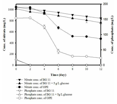 배양 시간에 따른 각 배지에서 nitrate와 phosphate의 변화량